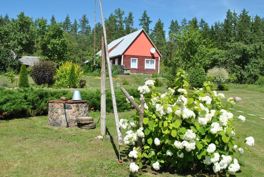 Brivdienu Maja Skerskani Krāslava Стая снимка