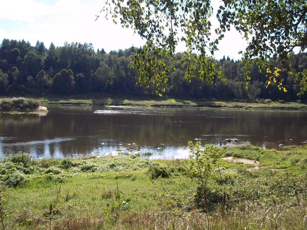 Brivdienu Maja Skerskani Krāslava Стая снимка